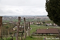 VBS_6848 - Presentazione 5° Rally Il Grappolo Storico 2025